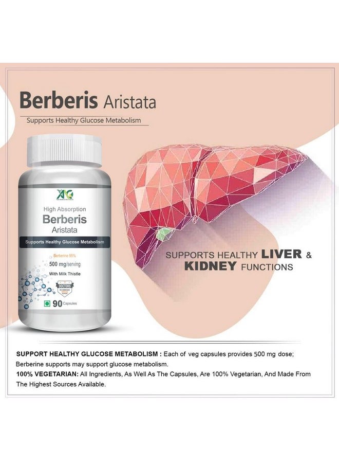 ANC Berberis Berberine 95% With Milk Thistle Vegetable 90 Capsules  - Image 2
