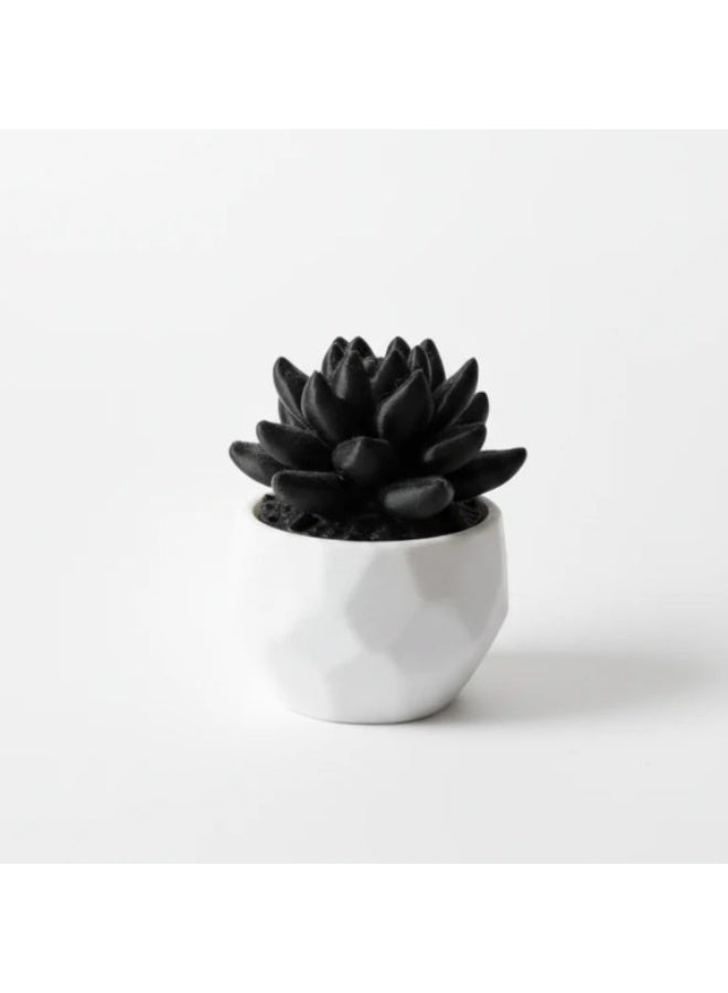 Printify تخزين الأواني المطبوعة ثلاثية الأبعاد - Image 3