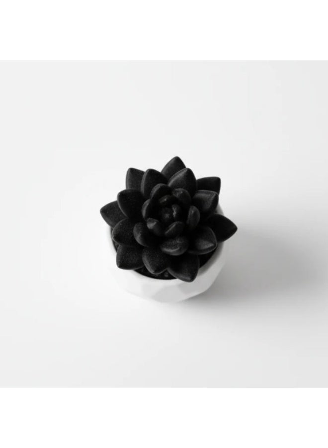 Printify تخزين الأواني المطبوعة ثلاثية الأبعاد - Image 1