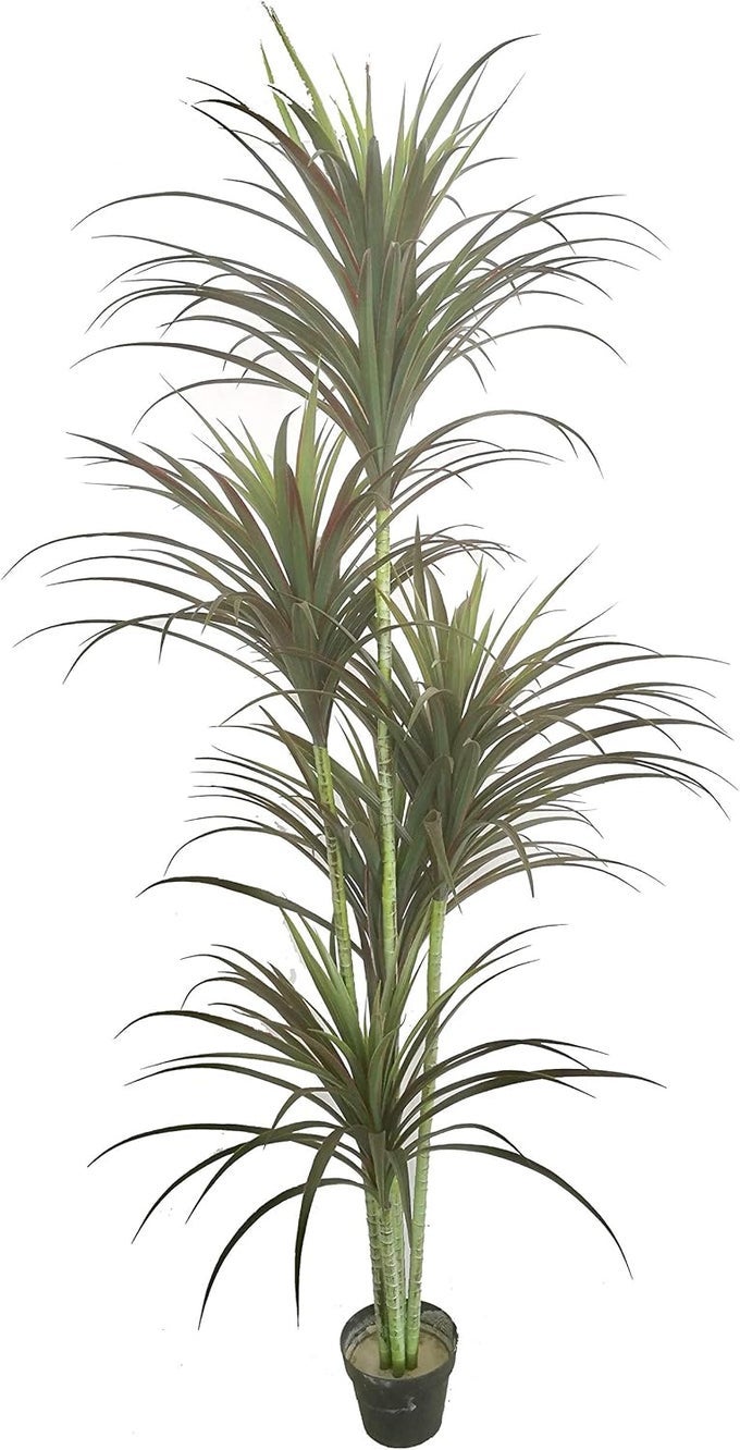 Gorgeous Unique 6 Feet Five Head Yucca Artificial Plant Tree with 151 Leaves Feel Real Technology Green Model MB5516D6P