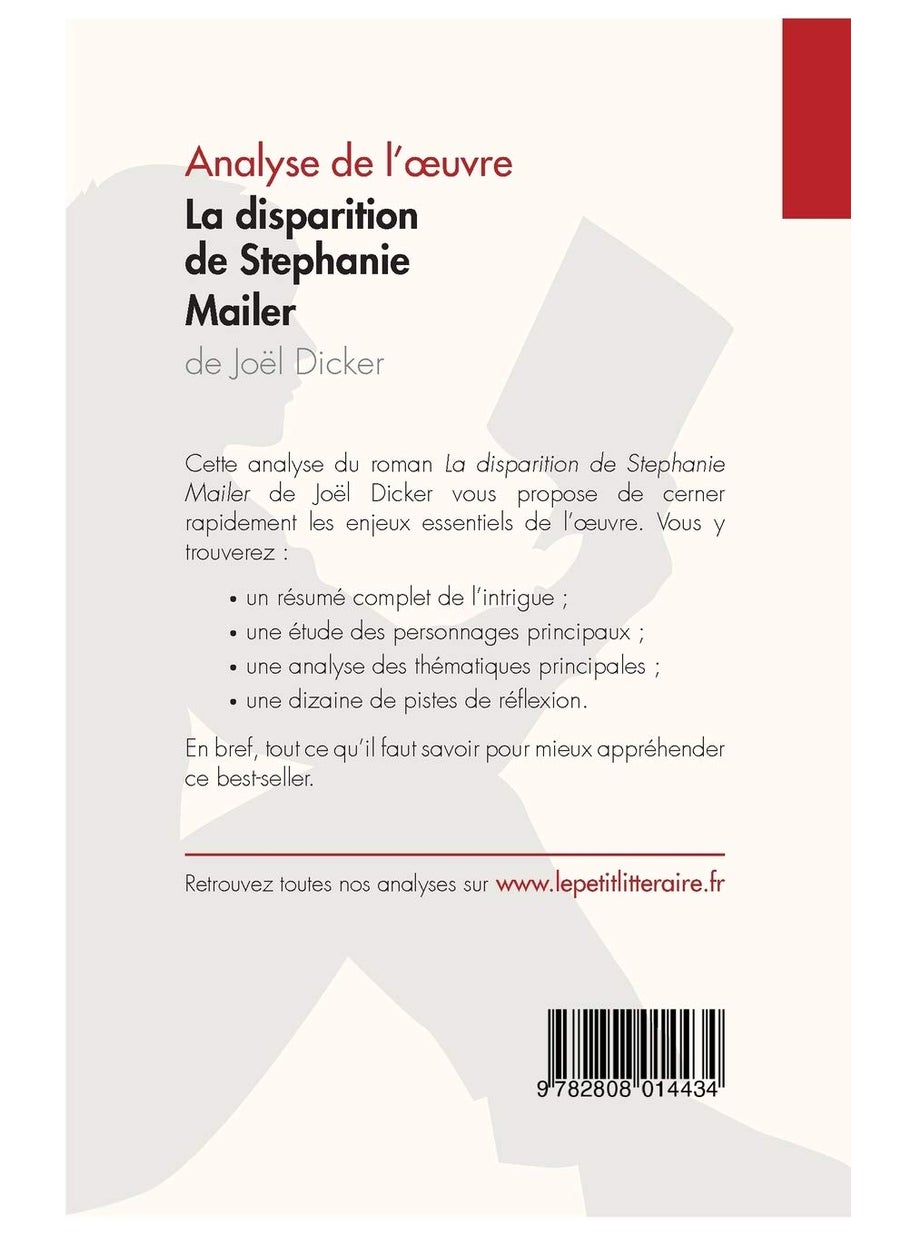La disparition de Stephanie Mailer de Joël Dicker (Analyse de l'oeuvre): Analyse complète et résumé détaillé de l'oeuvre  - Image 2