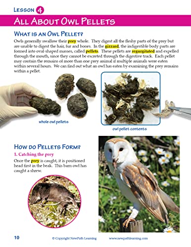 New Path Learning NewPath Learning-14-6715 Owls and Owl Pellet Dissection Resource Guide - Self-Directed Readings, Illustrated Explanations - Image 3