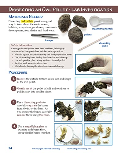 New Path Learning NewPath Learning-14-6715 Owls and Owl Pellet Dissection Resource Guide - Self-Directed Readings, Illustrated Explanations - Image 4