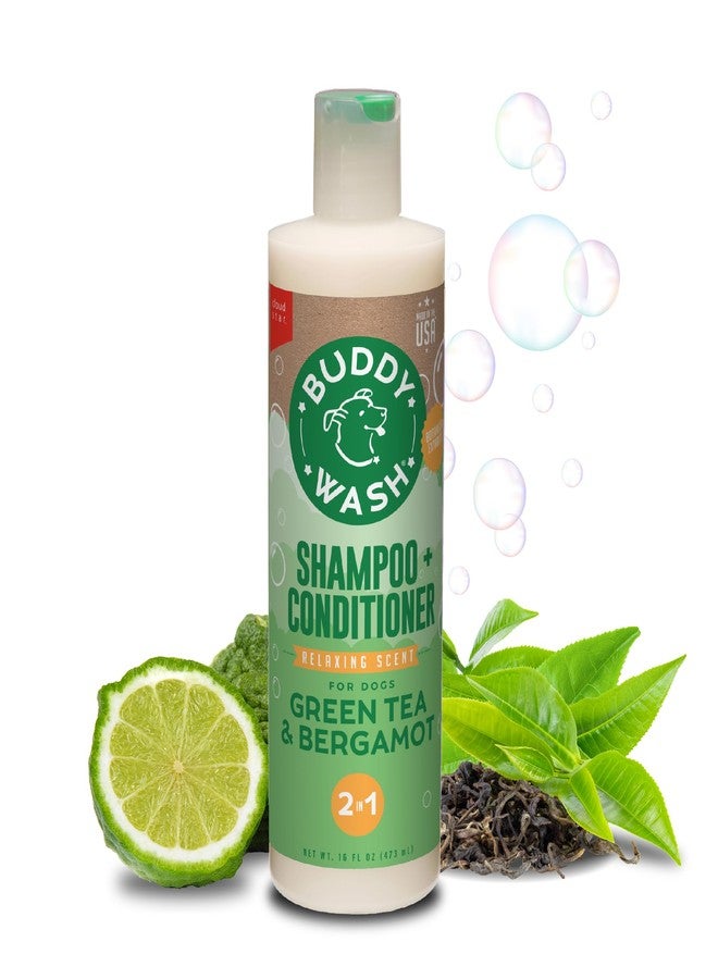 BUDDY BISCUITS Buddy Grooming Wash 2 in 1 Dog Shampoo, Green Tea & Bergamot, 16 oz. Bottle - Image 1