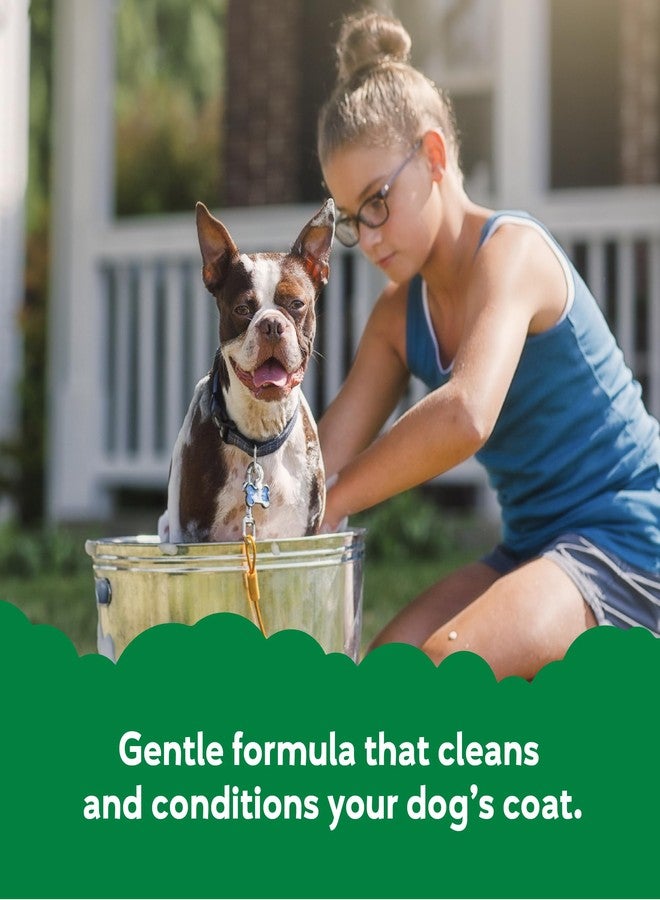 BUDDY BISCUITS Buddy Grooming Wash 2 in 1 Dog Shampoo, Green Tea & Bergamot, 16 oz. Bottle - Image 2