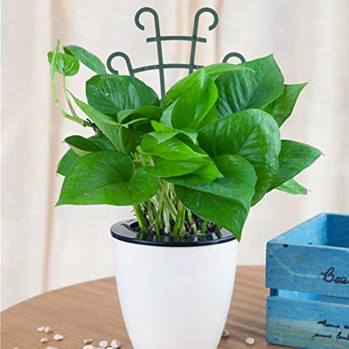 UWIOFF Indoor Small Trellis, 6Pcs Plant Trellis for Climbing Plants Trellis for Potted Plants Stackable Plastic Pot Plant Support Trellis for Indoor Outdoor Hoya Vines Pothos Houseplants - Image 2