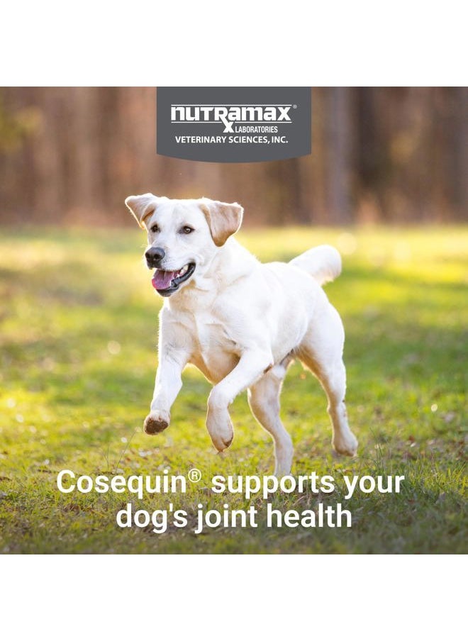 COSEQUIN - Cosequin Maximum Strength Joint Health Supplement for Dogs - With Glucosamine, Chondroitin, MSM, and Hyaluronic Acid, 75 Chewable Tablets (Pack of 1) - Image 1