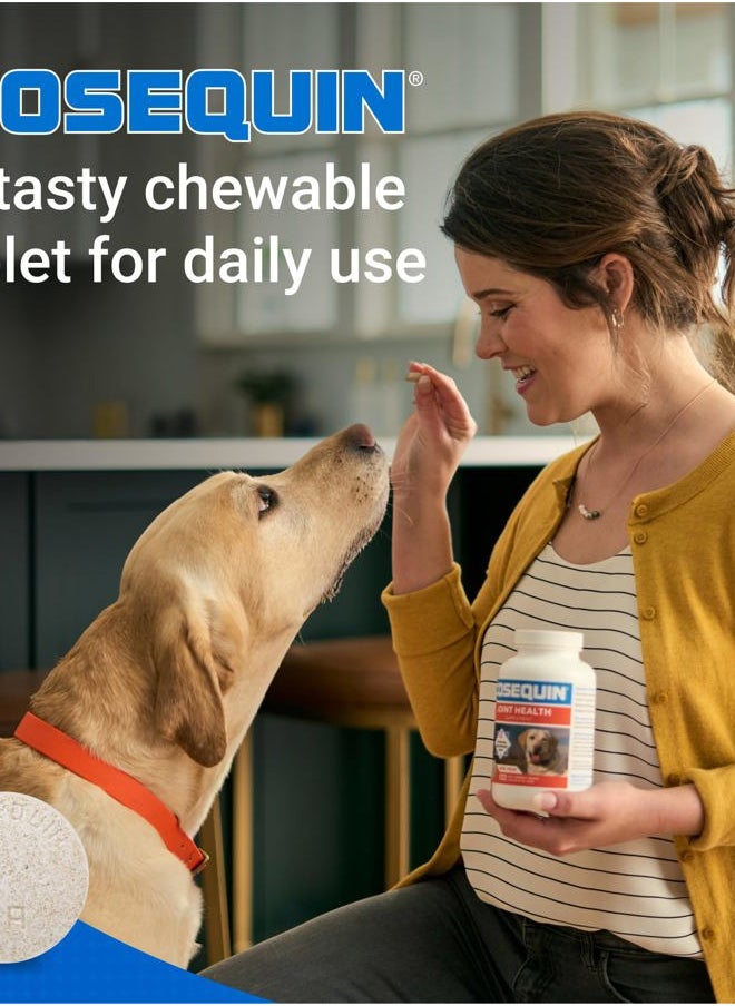 COSEQUIN - Cosequin Maximum Strength Joint Health Supplement for Dogs - With Glucosamine, Chondroitin, MSM, and Hyaluronic Acid, 75 Chewable Tablets (Pack of 1) - Image 1