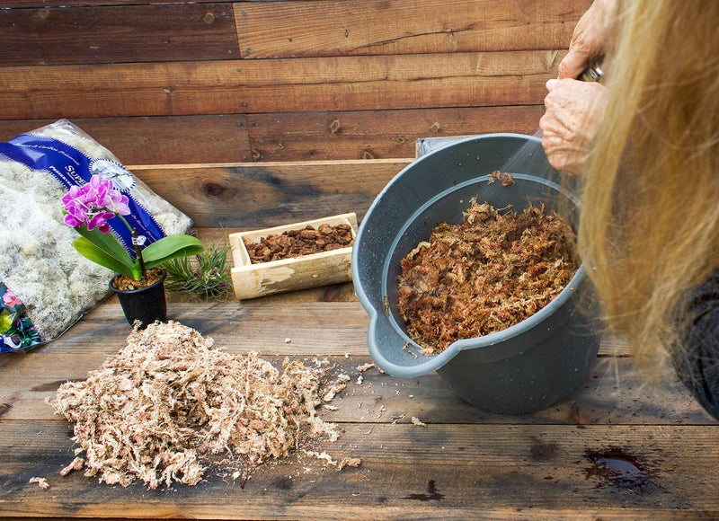 SuperMoss SuperMoss (22325) Orchid Sphagnum Moss Dried, Natural, 1 Pound Mini Bale  - Image 3