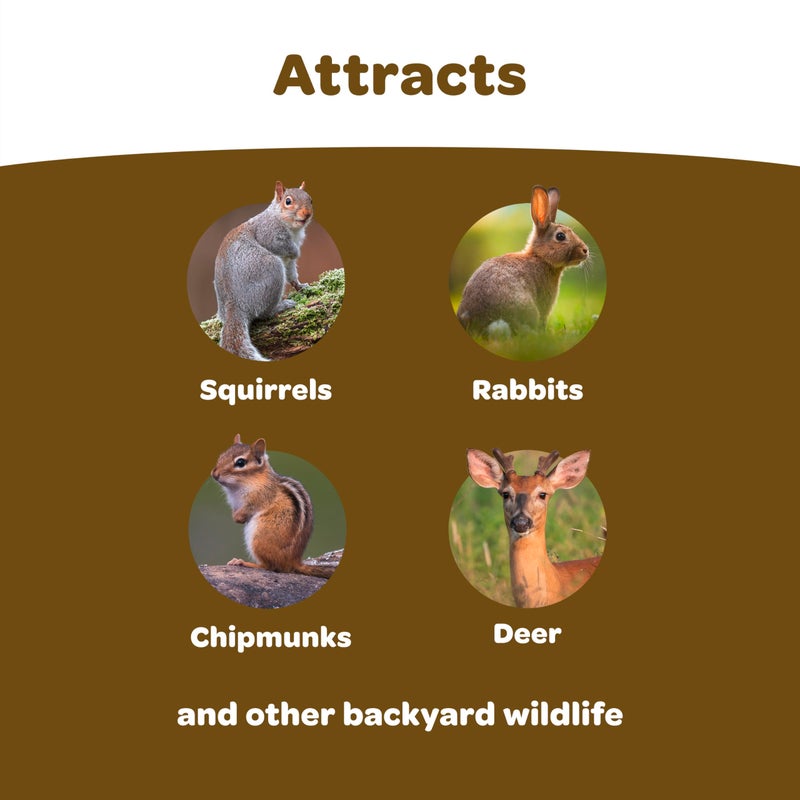 Kaytee Backyard Wildlife Food Blend For Wild Squirrels, Chipmunks, Rabbits and Other Backyard Wildlife, 5 Pound - Image 2