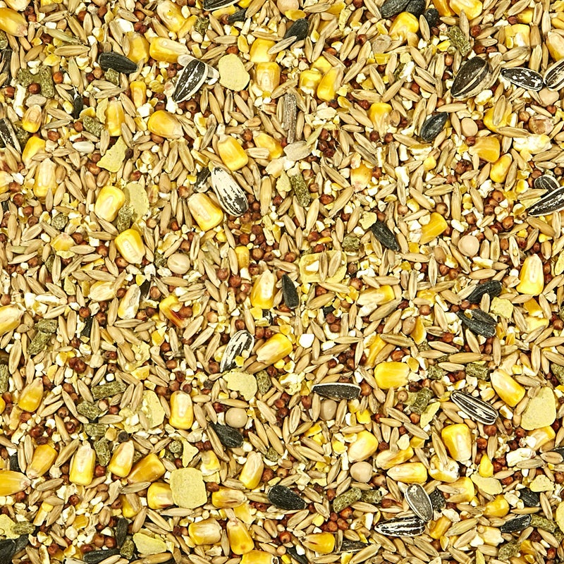 Kaytee Backyard Wildlife Food Blend For Wild Squirrels, Chipmunks, Rabbits and Other Backyard Wildlife, 5 Pound - Image 4