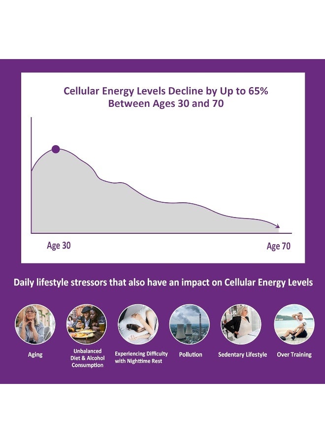 NEVISS Sugar Free Nicotinamide Gummies 500mg for Adults - Image 3
