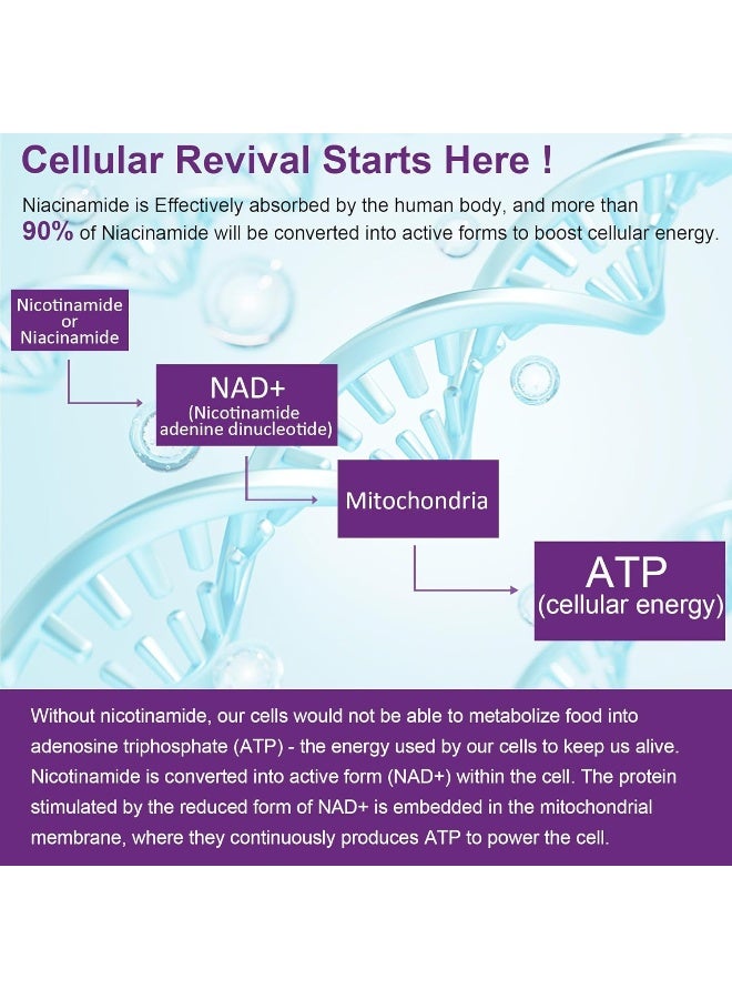 NEVISS Sugar Free Nicotinamide Gummies 500mg for Adults - Image 5