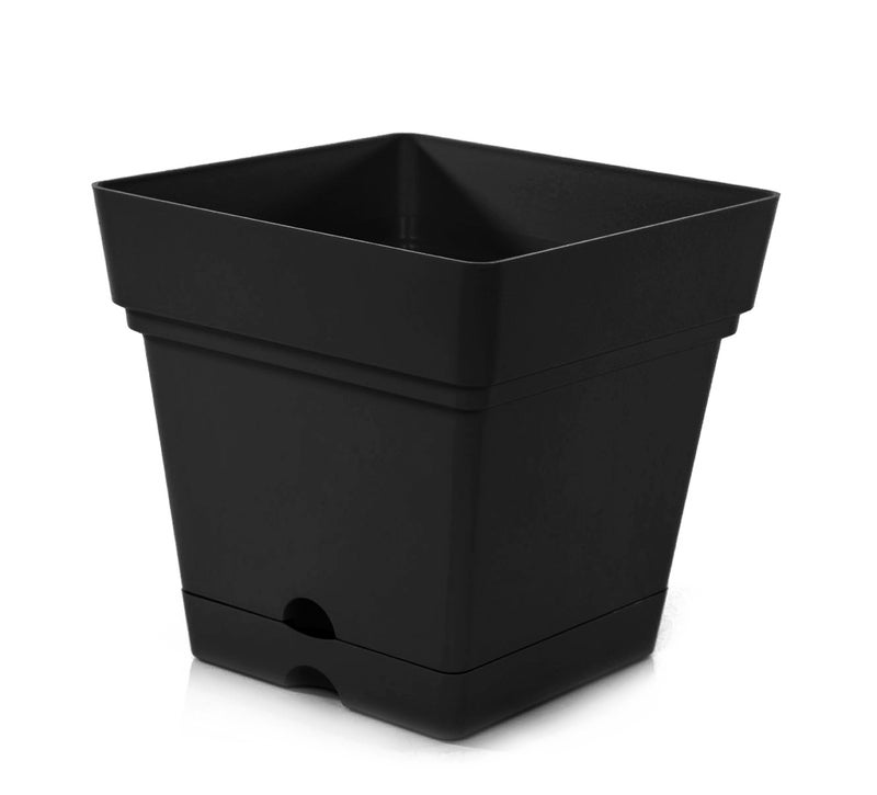 Mintra Square Flower Pot Planter with bottom tray - Plastic | Color - Black | Size - 18x18x18cm | Asthetically Decorate Your Terrace, Garden or Patio. Ideal for outdoor or indoors - Image 1