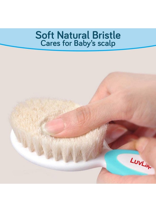 Luvlap مشط أطفال مع أطراف مدورة وفرشاة شعر أطفال بشعيرات طبيعية لحماية أفضل لفروة رأس الطفل (أبيض وأزرق) - Image 3