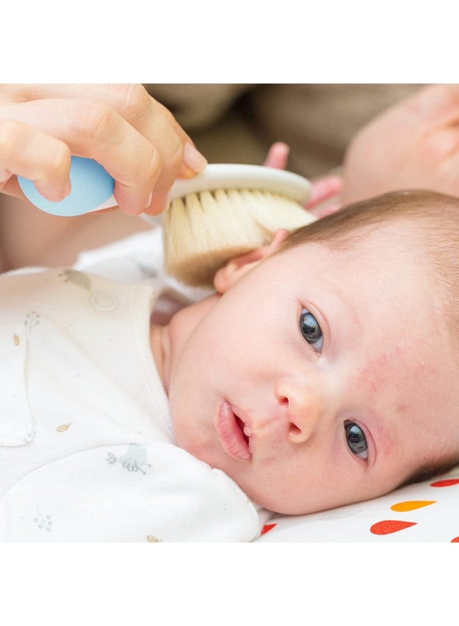 Luvlap مشط أطفال مع أطراف مدورة وفرشاة شعر أطفال بشعيرات طبيعية لحماية أفضل لفروة رأس الطفل (أبيض وأزرق) - Image 5
