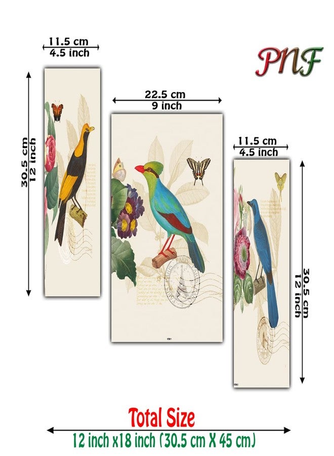 pnf Poster And Frames Birds MDF Panel | For Living Room, Bedroom | Home Decoration Item | Best Gifting Option | Set Of 3 (MDF,Multicolour,18x12inch) -1728 - Image 2