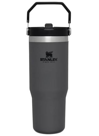 STANLEY IceFlow Flip Straw Water Bottle, 0.88L – Vacuum Insulated, Leakproof & BPA-Free – Keeps Water Cold for 12 Hours – Easy-Carry, Dishwasher Safe Stainless Steel Travel Mug (Charcoal) – Perfect for Active Lifestyles & On-the-Go Hydration - pzsku/Z254A2063160CFC29EBC7Z/45/1752157160/68cbd7f5-500d-42a9-85c7-4433bcaa7d8e