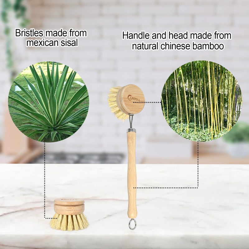 ANTYA Bamboo Dish Brush with Handle 4 Replacement Heads, Eco Friendly Vegetable Scrubber, Compostable & Sustainable, Bamboo Dish Scrubber Brush for Cleaning Kitchen Utensils(Soft Bristles) - Image 3