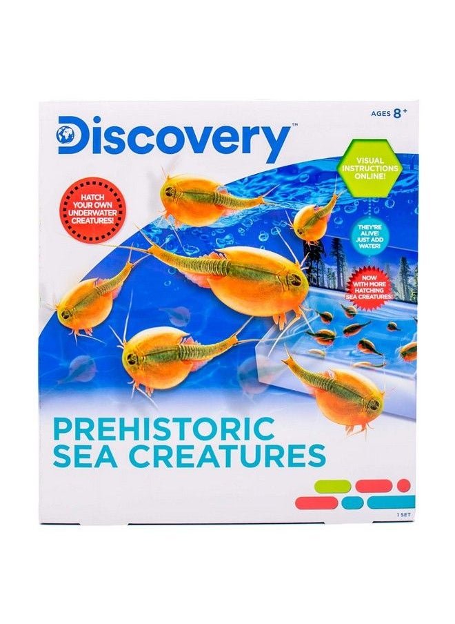 Discovery - Prehistoric Sea Creatures At Home Stem Kits For Kids Sea Creature Aquarium Grow Your Own Sea Creatures Hatching Animals Kids Science Activities - Image 1