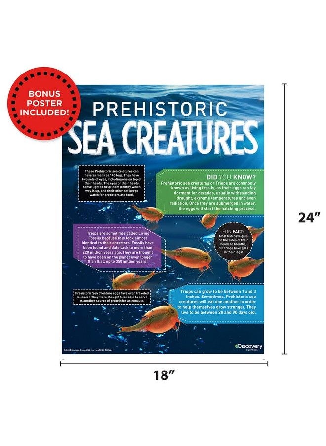 Discovery - Prehistoric Sea Creatures At Home Stem Kits For Kids Sea Creature Aquarium Grow Your Own Sea Creatures Hatching Animals Kids Science Activities - Image 1