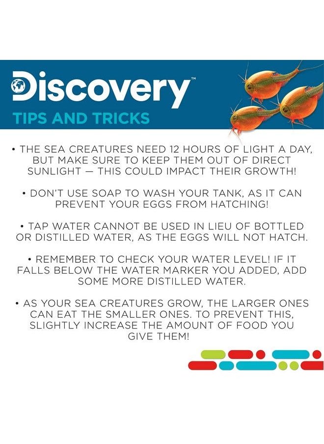 Discovery - Prehistoric Sea Creatures At Home Stem Kits For Kids Sea Creature Aquarium Grow Your Own Sea Creatures Hatching Animals Kids Science Activities - Image 1