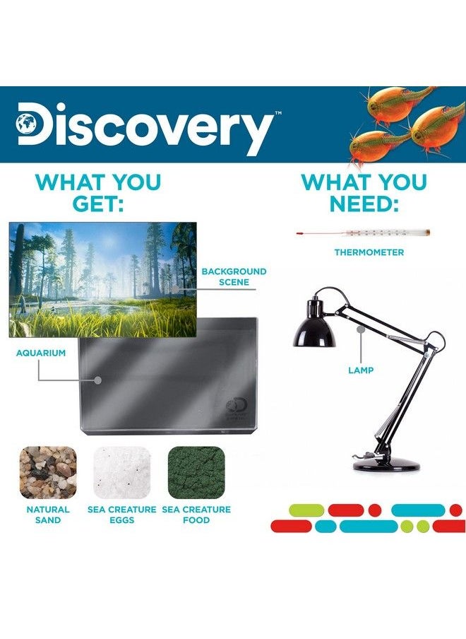 Discovery - Prehistoric Sea Creatures At Home Stem Kits For Kids Sea Creature Aquarium Grow Your Own Sea Creatures Hatching Animals Kids Science Activities - Image 1
