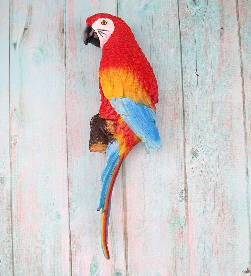 The Decorshed Plastic Thedecorshed Wall Parrot, Parrot for Tree, Garden Statues and Figurines, Parrot for Garden, Pack of 1 - Image 1