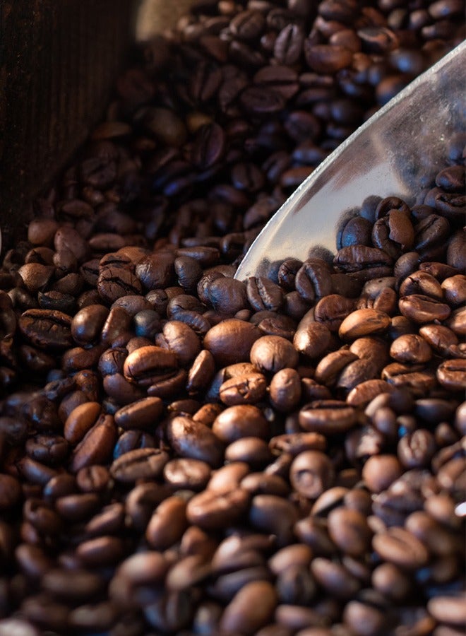 XPER Electric Grinder - 450 Watts - with a Capacity of 400 Grams - With a Safety System - XPCG-450S - Image 5