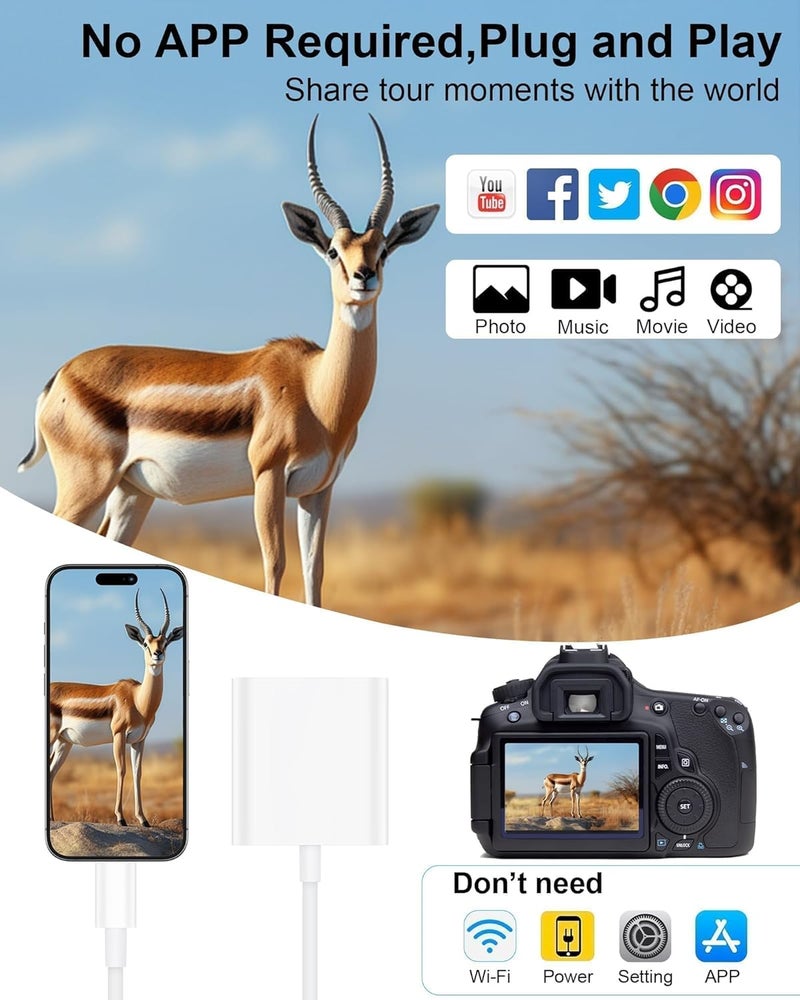 AILKIN SD Card Reader Type C for iPhone 17/17Pro16e/16Pro/15Pro, Macbook, iPad Pro, USB C Micro SD Card Reader Dual Slot 3.0 High Speed Trail Camera Memory Card Adapter for Android Samsung S25, Plug and Play - Image 3