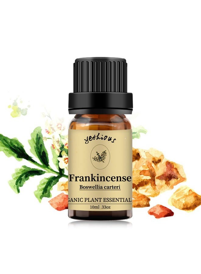 yethious Frankincense Essential Oil Organic 100% Pure Frankincense Oil Frankincense Aromatherapy Oil for Diffuser - Image 1