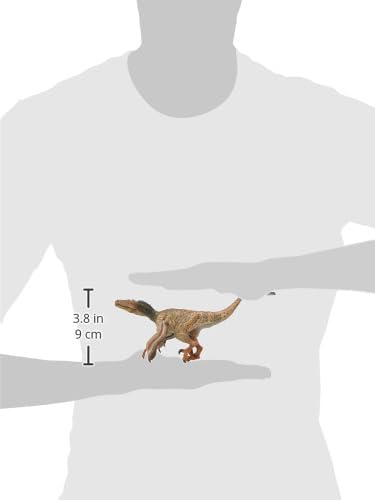 PAPO  Feathered Velociraptor  Realistic Figurine  for Ages 3  Dinosaurs Collection  Hand Painted  Highly Detailed  Durable and Educational  Gift Idea  Collectable  feathered velociraptor - Image 4