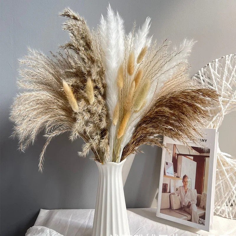 Y&D G40 Natural Pampas Grass Set 60Pcs: Small Dried Flowers Bouquet - Boho Home Decor, Christmas & Ramadan Accent (Dried Plants Included) - Image 1