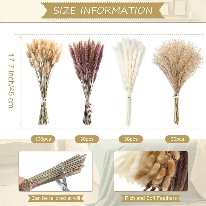 Y&D G40 Natural Pampas Grass Set 60Pcs: Small Dried Flowers Bouquet - Boho Home Decor, Christmas & Ramadan Accent (Dried Plants Included) - Image 5