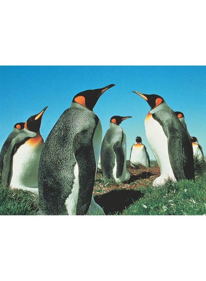 TOMAX Penguin's Paradise Puzzle 500 Pieces - 50-023  - Image 2
