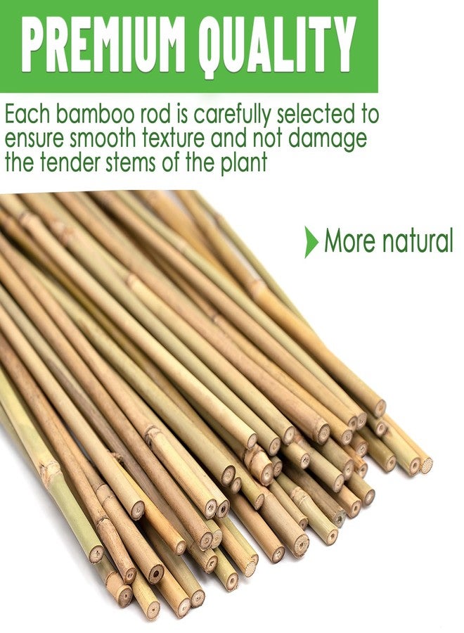 POLIUMB 35Pcs Plant Stakes,Premium Natural Bamboo Garden Stakes,Bamboo Sticks Support for Indoor and Outdoor Plants,Tomato,Vegetables Beans,Potted and Climbing Plants - Image 2