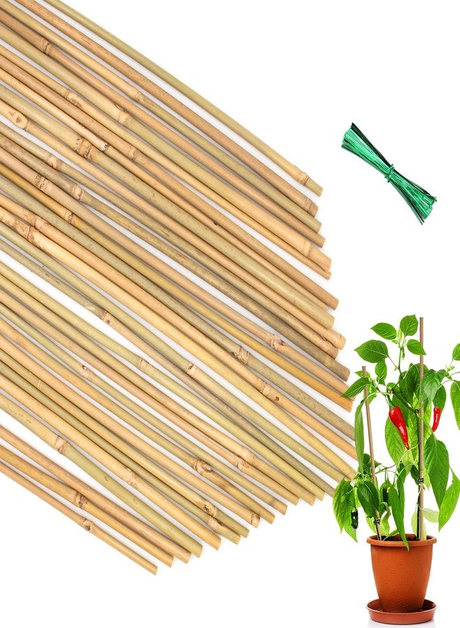 POLIUMB 35Pcs Plant Stakes,Premium Natural Bamboo Garden Stakes,Bamboo Sticks Support for Indoor and Outdoor Plants,Tomato,Vegetables Beans,Potted and Climbing Plants - Image 1