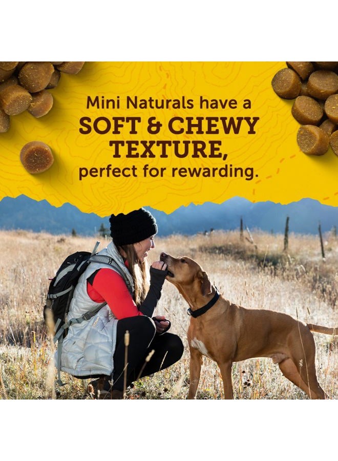 Zuke's Mini Naturals Training Dog Treats Chicken Recipe - 16 Oz. Bag - Image 4