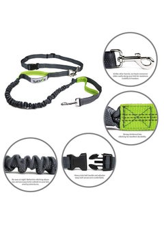 Emily Pets Retractable Hands Free Dog Leash with Dual Bungees for Dogs up to 150lbs, Adjustable Waist Belt, Reflective Stitching Leash for Running Walking Hiking Jogging Biking (Green-Gray) - pzsku/Z2553E5B8CFFBD83E7165Z/45/_/1738306587/4c901d93-8c5a-492b-9904-e23f00cc3322