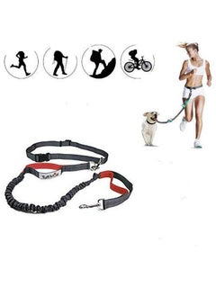 Emily Pets Retractable Hands Free Dog Leash with Dual Bungees for Dogs up to 150lbs, Adjustable Waist Belt, Reflective Stitching Leash for Running Walking Hiking Jogging Biking (Green-Gray) - pzsku/Z2553E5B8CFFBD83E7165Z/45/_/1738306637/5c6f5c0a-d771-4b13-9457-c532b1843328