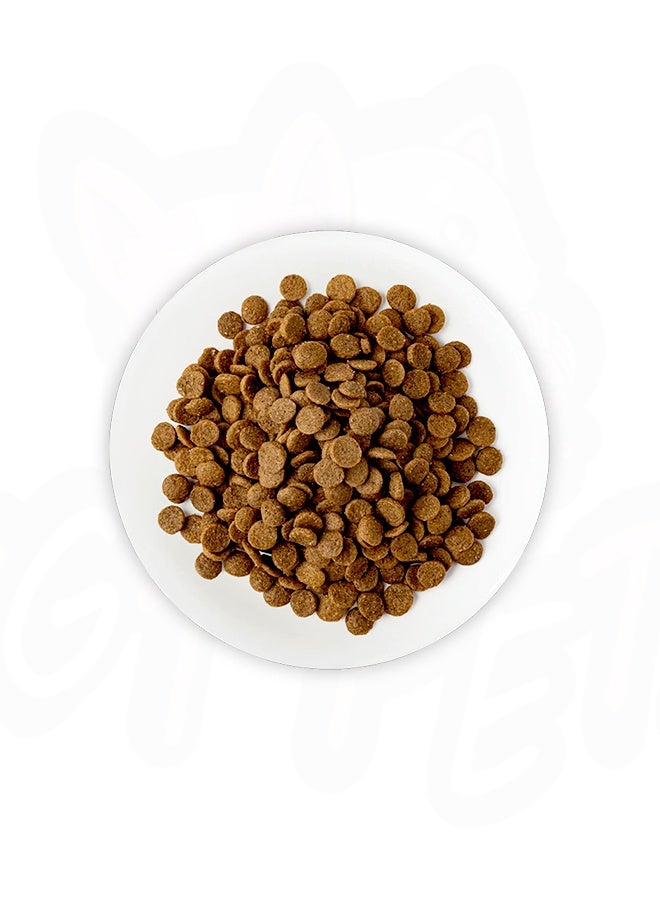 Schesir Sterilized And Light Chicken Cat Dry Food - 1.5KG - Image 2