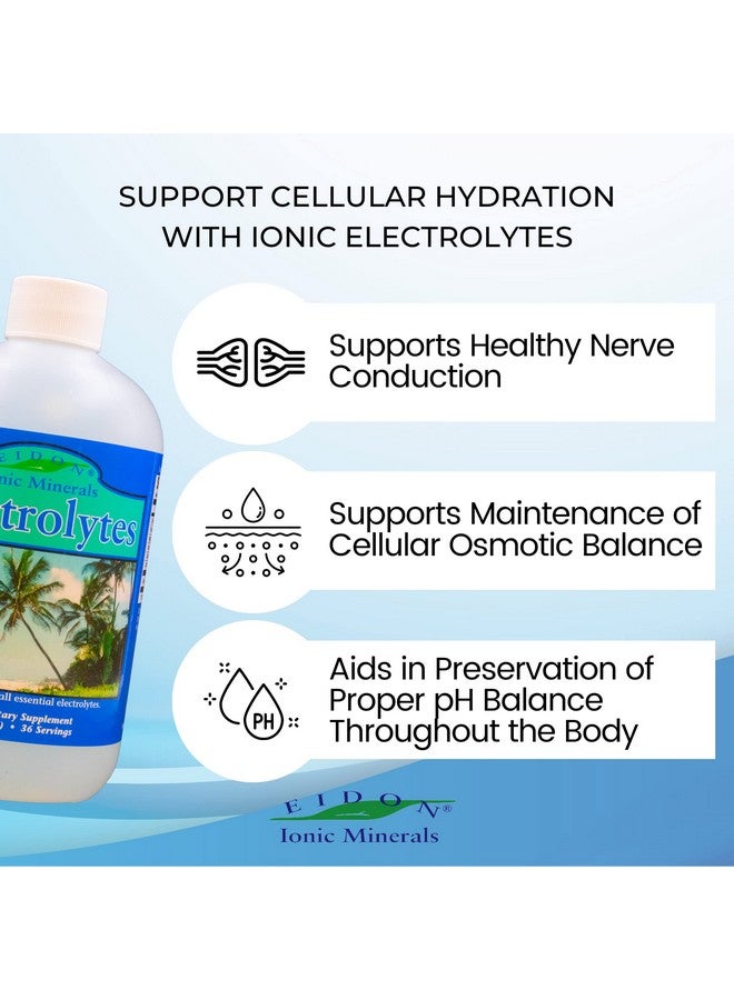 Eidon Ionic Minerals Eidon Electrolytes Liquid Electrolyte Drops Replenish  Balance The Electrolyte Equilibrium Allnatural Bioavailable Ionic Vegan Glutenfree No Preservatives Or Additives 18 Ounces - Image 4