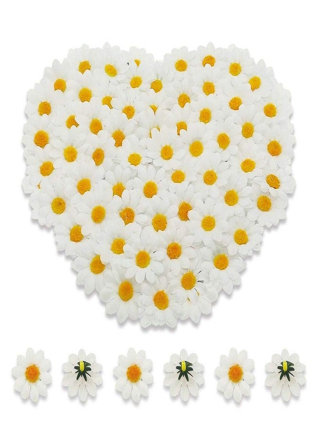 KnR Harmony Faux White Daisies Bulk 100pcs Mini Daisies Artificial Flowers Gerbera Daisy Heads Fake for DIY Garland Craft Birthday Wedding Party Easter Bonnet Home Decoration - Image 2