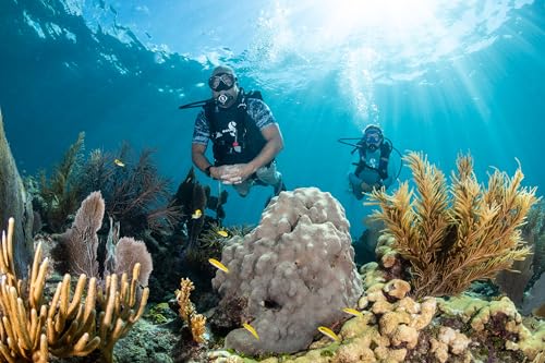 Scubapro قناع الغوص SCUBAPRO زوم مع عدسة مزدوجة فائقة الوضوح ونظام تغيير العدسات للعدسات البصرية للغوص، أسود كامل - Image 4