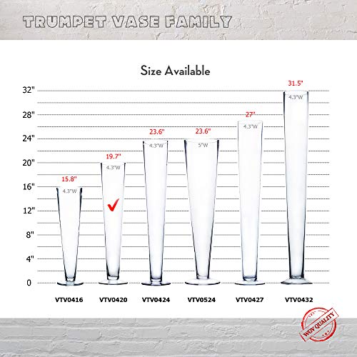 WGVI WGV Trumpet Glass Vase, Open 4", Height 20", (Multiple Sizes Choices) Clear Tall Pilsner Floral Planter Container Centerpiece, Wedding Event Home Decor, 1 Piece (VTV0420) - Image 3