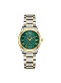كينيث سكوت Green Gold Highlight