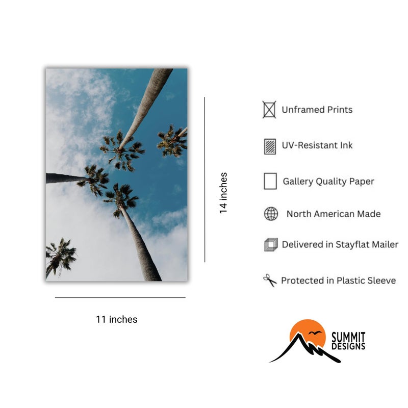 Summit Designs Palm Trees Sky Wall Art Print 11x14 - Tropical Clouds Blue Sky Photography - Unframed Beach Paradise Boho Minimalist Coastal Florida Hawaii California Decor - Image 2