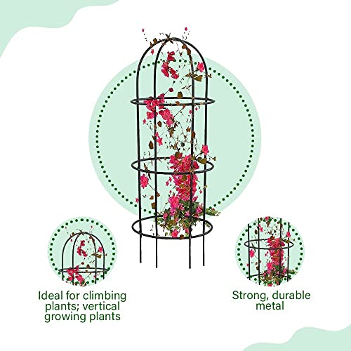 Meena Enterprises GT Pack of 3 Diffrent Type Heavy Gauge Plant Support,plant straightener,plant support sticks,Plant Climb,creeper plant support,money plant support stand,plant climbing support,support sticks for plants (Plant Support A) - Image 4