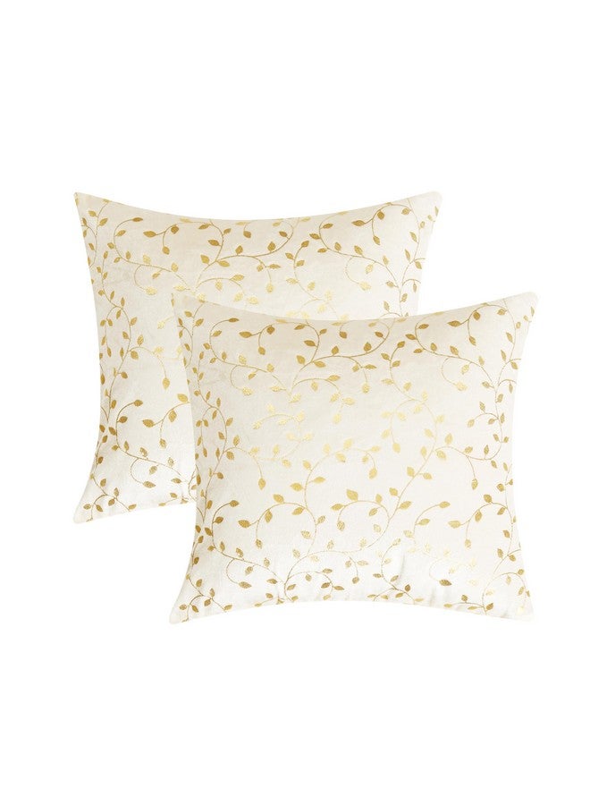 RD TREND RD TREND Velvet Cushion Covers, 40 x 40 cm/16 x 16 inches,250 TC, Back Zipper (2, Cream) - Image 1