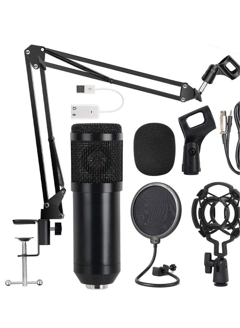 ELTRAZONE Beauenty for BM800 Professional Broadcasting Studio Recording Condenser Microphone Mic Kit with Sound card  - Image 1